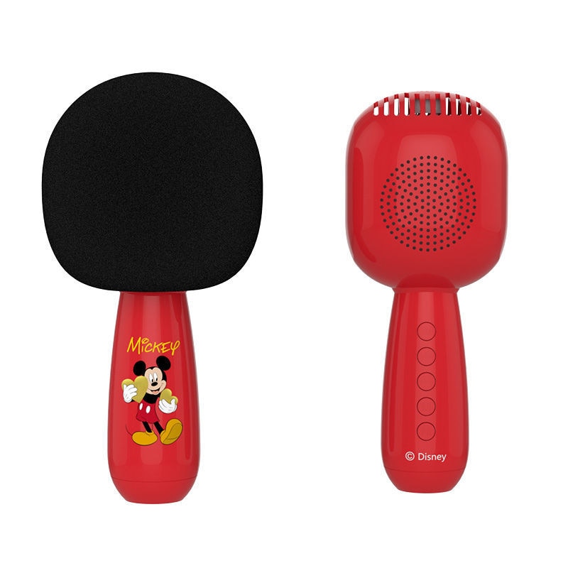 Mickey store mouse microphone